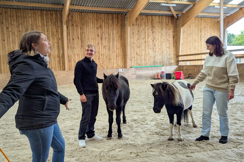 équicoaching nantes
