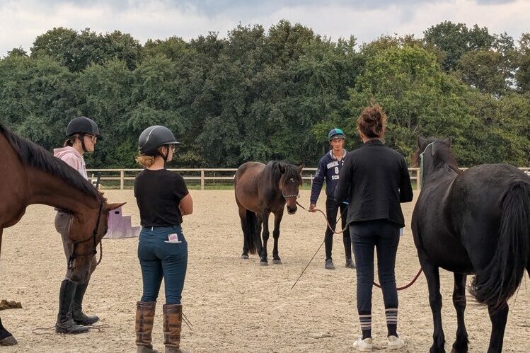 équitation éthologique nantes cciee ccpee