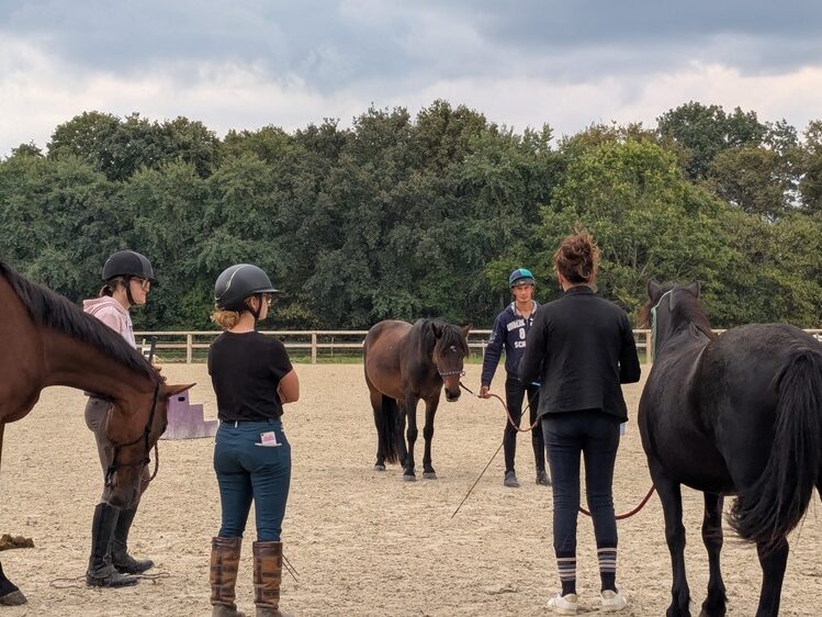équitation éthologique nantes cciee ccpee