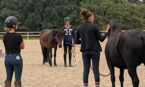 CCIEE (Initier à l’Équitation Éthologique)