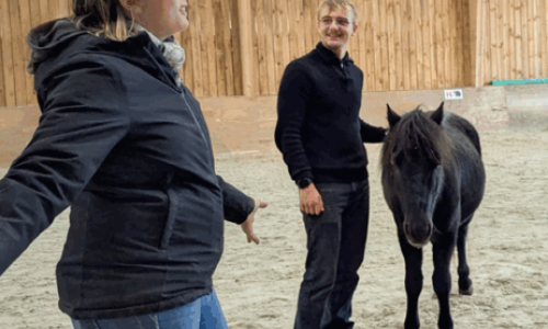 Equicoaching