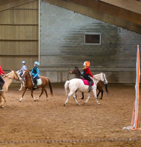 Grand manège Haras de Nantes