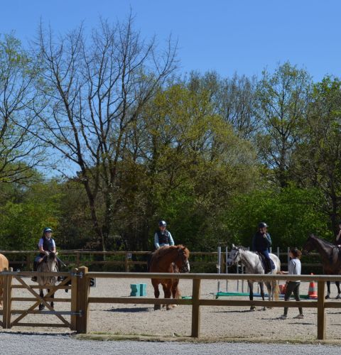 Petite carrière Haras de Nantes