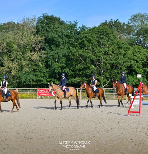 Grande carrière Haras de Nantes